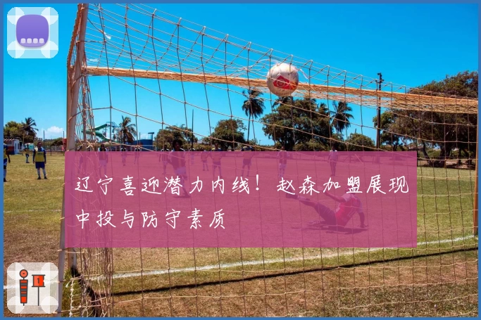 辽宁喜迎潜力内线！赵森加盟展现中投与防守素质