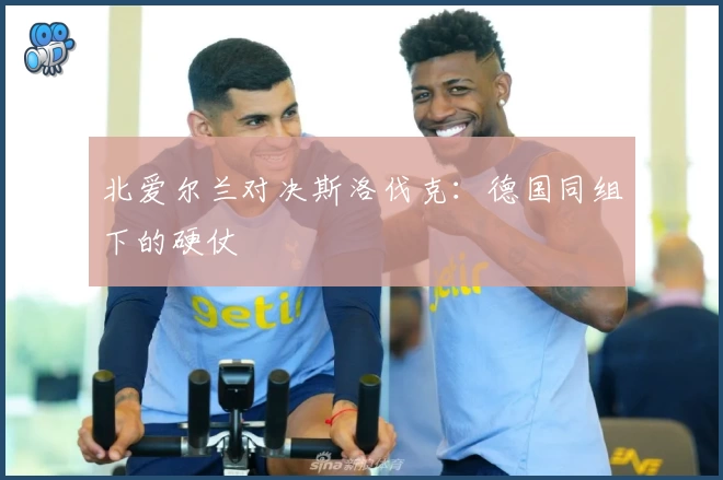 北爱尔兰对决斯洛伐克:德国同组下的硬仗