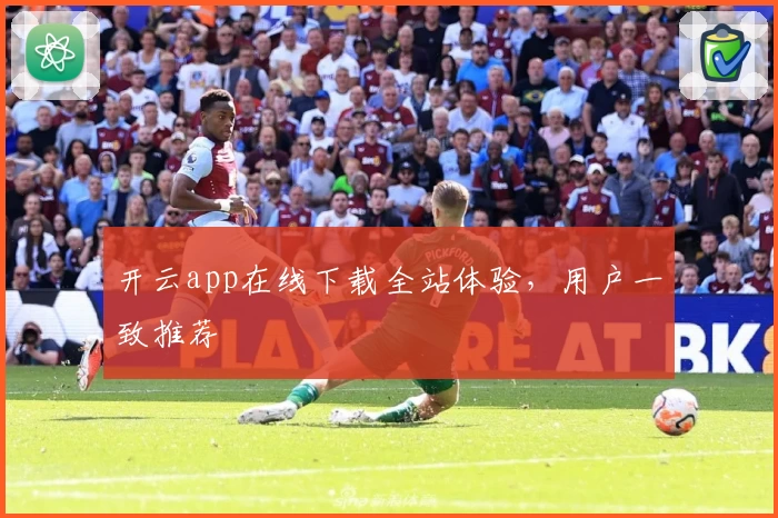 开云app在线下载全站体验，用户一致推荐