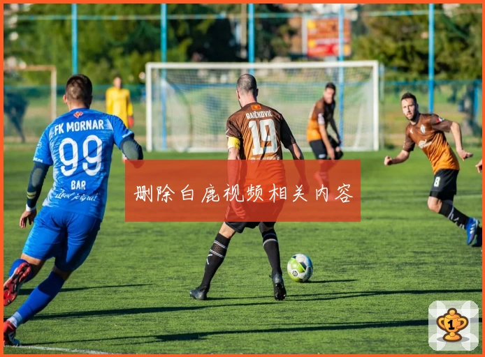 删除白鹿视频相关内容